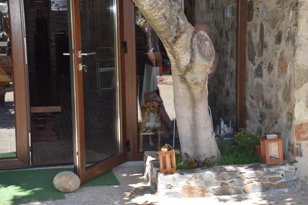 Quinta Da Boa Ventura Hotel Braganca Ngoại thất bức ảnh